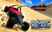 Polygon Track Racing img