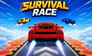 Survival Race img